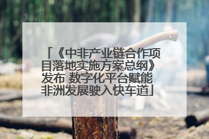 《中非产业链合作项目落地实施方案总纲》发布 数字化平台赋能非洲发展驶入快车道
