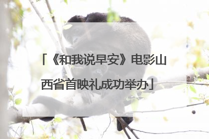 《和我说早安》电影山西省首映礼成功举办