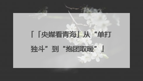「央媒看青海」从“单打独斗”到“抱团取暖”