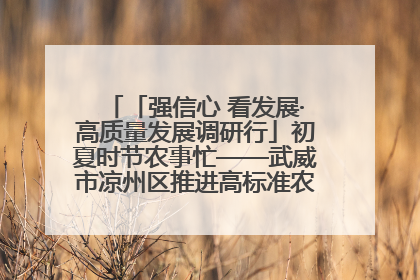 「强信心 看发展·高质量发展调研行」初夏时节农事忙——武威市凉州区推进高标准农田建设见闻