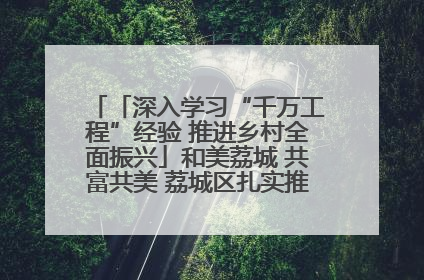 「深入学习“千万工程”经验 推进乡村全面振兴」和美荔城 共富共美 荔城区扎实推进乡村振兴工作