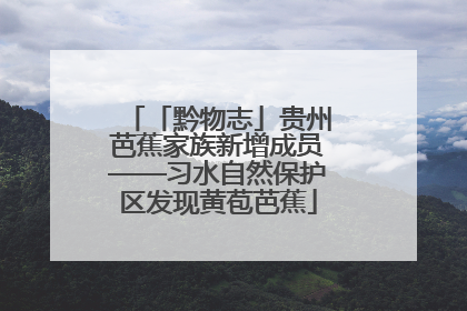 「黔物志」贵州芭蕉家族新增成员——习水自然保护区发现黄苞芭蕉