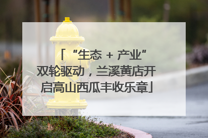 “生态 + 产业”双轮驱动，兰溪黄店开启高山西瓜丰收乐章