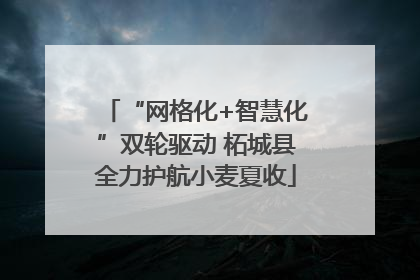 “网格化+智慧化”双轮驱动 柘城县全力护航小麦夏收