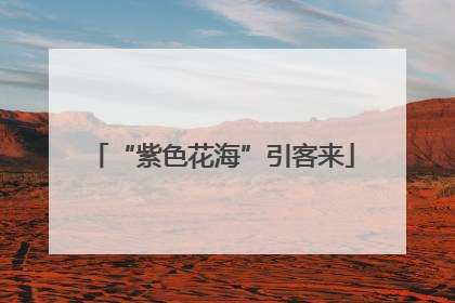 “紫色花海”引客来