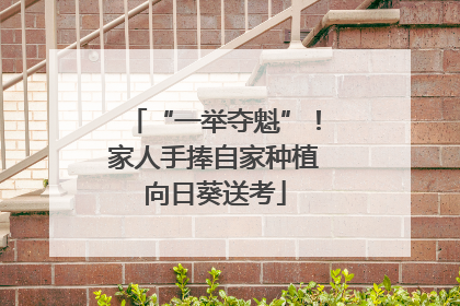 “一举夺魁”！家人手捧自家种植向日葵送考