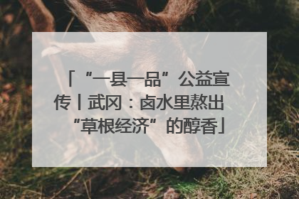 “一县一品”公益宣传丨武冈：卤水里熬出“草根经济”的醇香