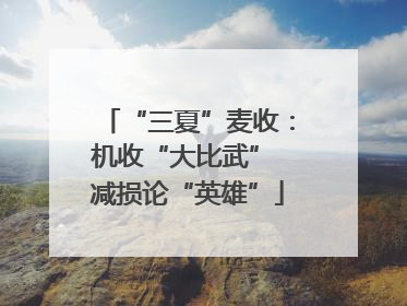 “三夏”麦收：机收“大比武” 减损论“英雄”