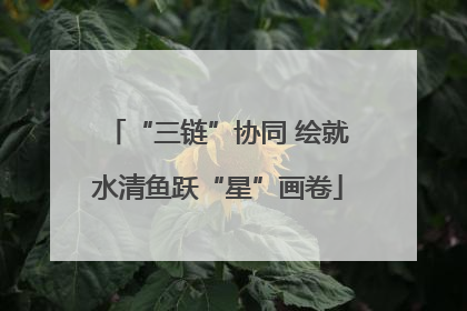 “三链”协同 绘就水清鱼跃“星”画卷