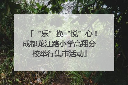 “乐”换“悦”心！成都龙江路小学高翔分校举行集市活动