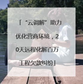 “云调解”助力优化营商环境，20天远程化解百万工程欠款纠纷