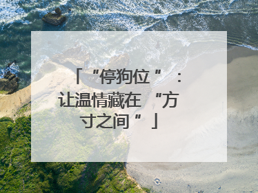 “停狗位 ”：让温情藏在 “方寸之间 ”