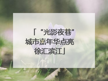 “光影夜巷”城市嘉年华点亮徐汇滨江