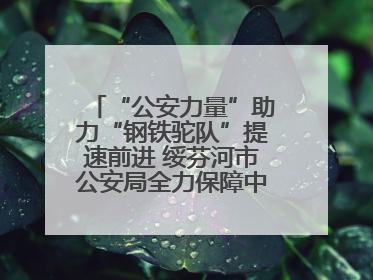 “公安力量”助力“钢铁驼队”提速前进 绥芬河市公安局全力保障中欧班列“东通道”绥芬河隧道贯通