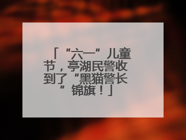 “六一”儿童节，亭湖民警收到了“黑猫警长”锦旗！