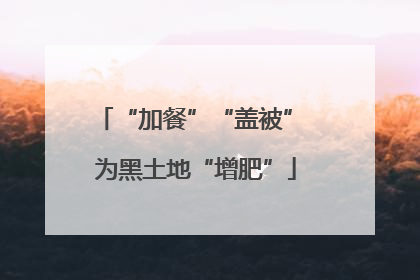 “加餐”“盖被” 为黑土地“增肥”