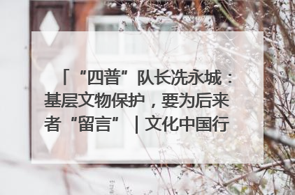 “四普”队长冼永城：基层文物保护，要为后来者“留言”｜文化中国行·我在广东找文物