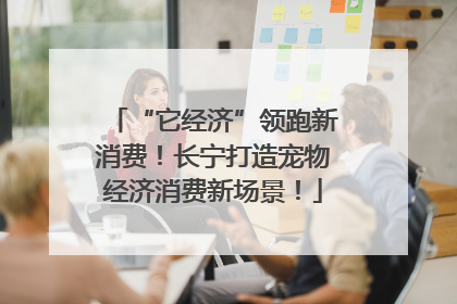 “它经济”领跑新消费！长宁打造宠物经济消费新场景！