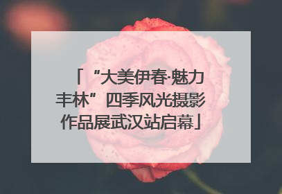 “大美伊春·魅力丰林”四季风光摄影作品展武汉站启幕