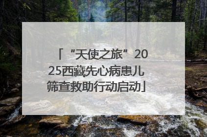 “天使之旅”2025西藏先心病患儿筛查救助行动启动