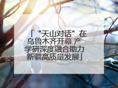 “天山对话”在乌鲁木齐开幕 产学研深度融合助力新疆高质量发展
