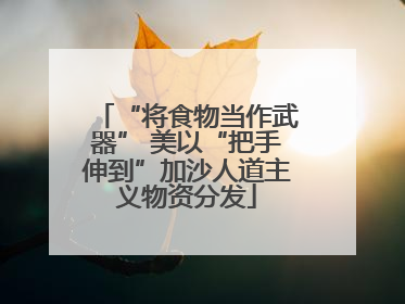 “将食物当作武器” 美以“把手伸到”加沙人道主义物资分发