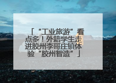 “工业旅游”看点多！外籍学生走进胶州李哥庄镇体验“胶州智造”