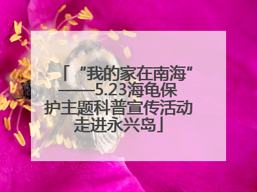 “我的家在南海”——5.23海龟保护主题科普宣传活动走进永兴岛