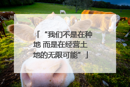 “我们不是在种地 而是在经营土地的无限可能”