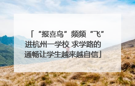 “报喜鸟”频频“飞”进杭州一学校 求学路的通畅让学生越来越自信