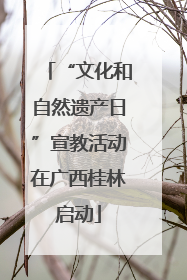 “文化和自然遗产日”宣教活动在广西桂林启动