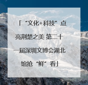 “文化+科技”点亮荆楚之美 第二十一届深圳文博会湖北馆抢“鲜”看