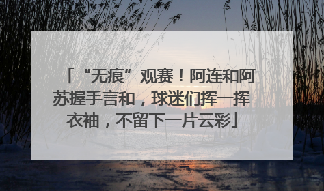 “无痕”观赛！阿连和阿苏握手言和，球迷们挥一挥衣袖，不留下一片云彩
