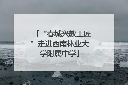 “春城兴教工匠”走进西南林业大学附属中学