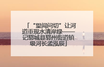 “望闻问切”让河道重现水清岸绿——记郓城县郓州街道镇级河长孟泓辰