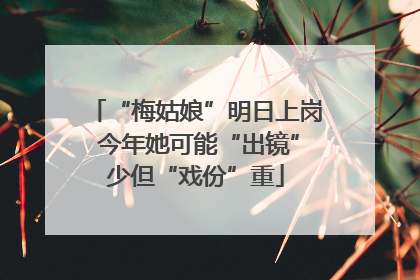 “梅姑娘”明日上岗 今年她可能“出镜”少但“戏份”重