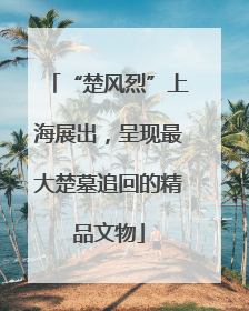 “楚风烈”上海展出，呈现最大楚墓追回的精品文物