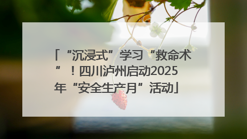 “沉浸式”学习“救命术”！四川泸州启动2025年“安全生产月”活动