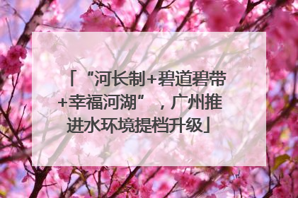“河长制+碧道碧带+幸福河湖”，广州推进水环境提档升级