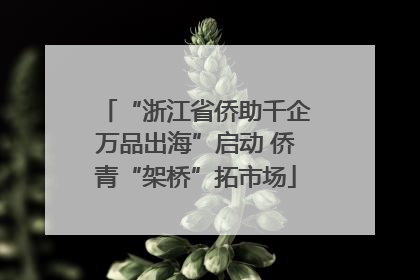 “浙江省侨助千企万品出海”启动 侨青“架桥”拓市场