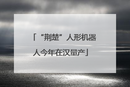 “荆楚”人形机器人今年在汉量产