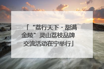 “荔行天下・甜满金陵”灵山荔枝品牌交流活动在宁举行