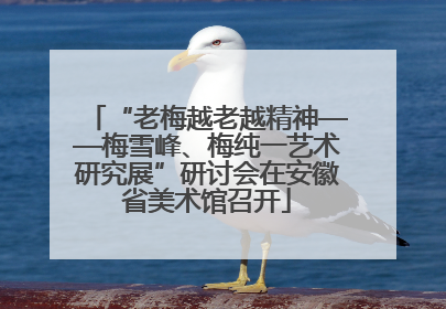 “老梅越老越精神——梅雪峰、梅纯一艺术研究展”研讨会在安徽省美术馆召开