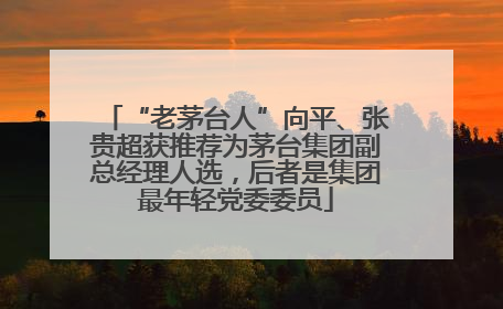 “老茅台人”向平、张贵超获推荐为茅台集团副总经理人选，后者是集团最年轻党委委员