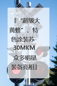 “超级大黄蜂”、特色涂装苏-30MKM 众多明星装备亮相