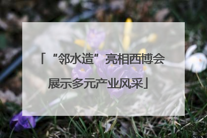 “邻水造”亮相西博会 展示多元产业风采