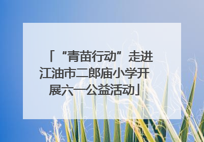 “青苗行动”走进江油市二郎庙小学开展六一公益活动