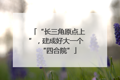 “长三角原点上”，建成好大一个“四合院”