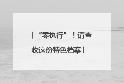“零执行”！请查收这份特色档案
