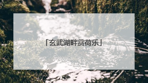 玄武湖畔赏荷乐